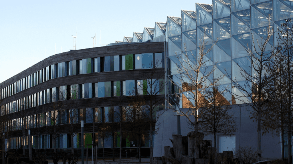 marketing agency